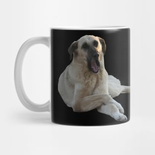 Kangal Dog Yawning Vector Cut Out Mug